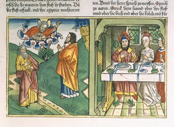 Exodus 8 1-15 De zeven plagen van Egypte: Mozes en de plaag van kikkers, uit de 